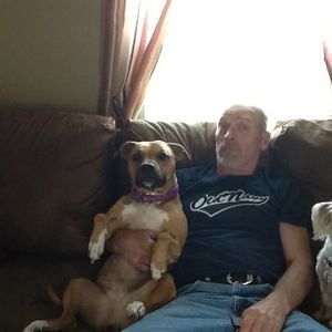 Meet your Posher, Lance